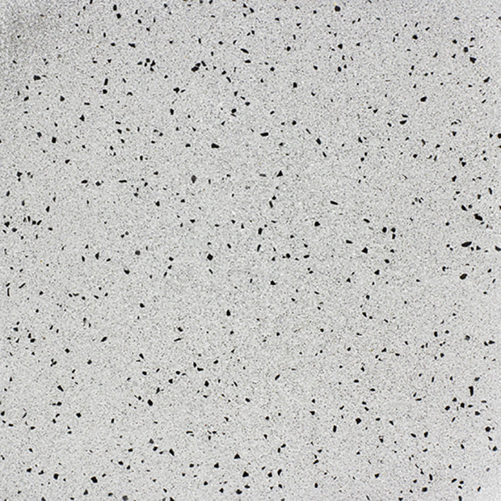 GRAY DALMATIAN
